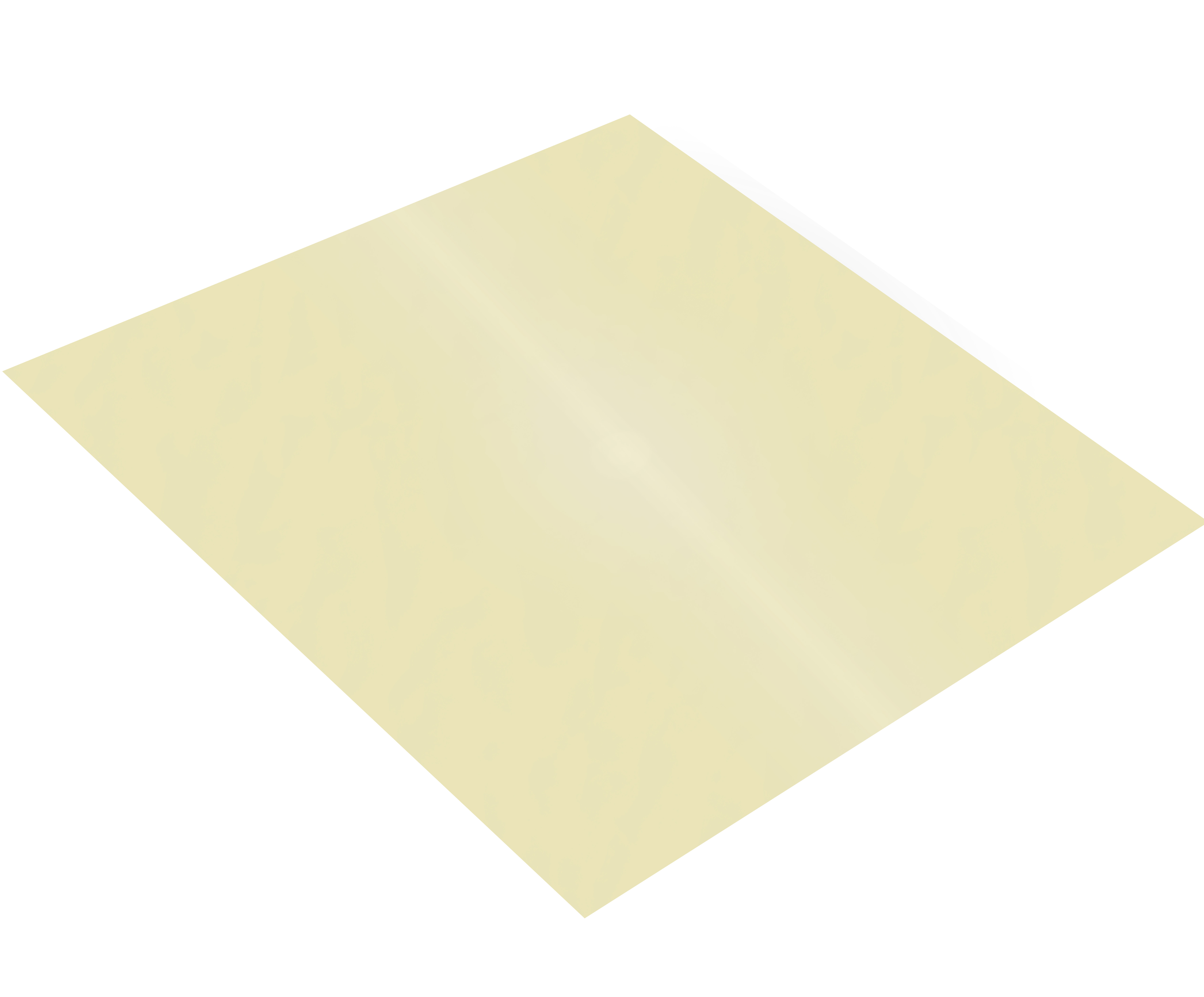 Feuille engluée CDG20